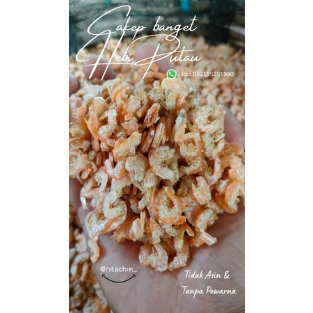 

Udang Hebi Angciok Kwalitas A