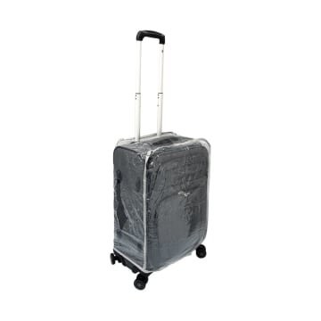 passport luggage