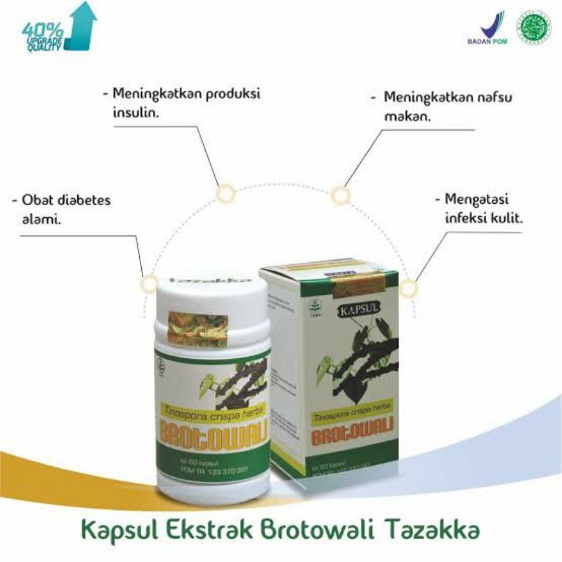 

Kapsul Ekstrak Brotowali