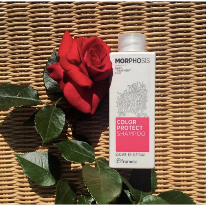 Morphosis framesi color protect shampoo