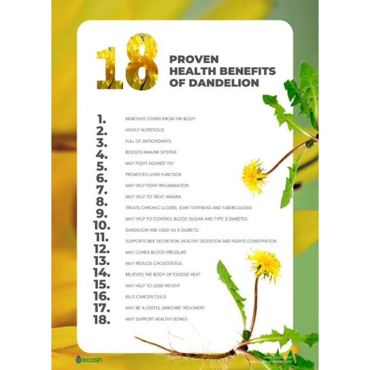

AKEH ELIF TEA AND TISANE Dandelion Tea Teh Dandelion Anemia Detox Liver Pembersih Darah Kotor 30 Tea