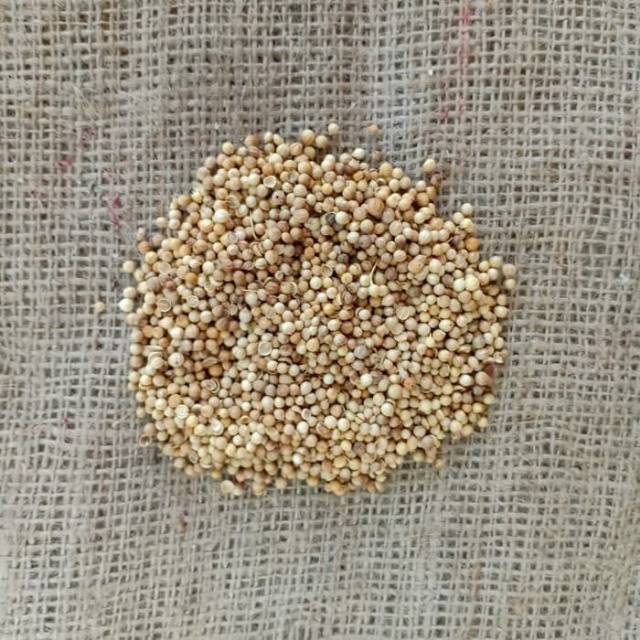 

Ketumbar Utuh Coriender Seed Rempah Herbal Natural Obat Alami