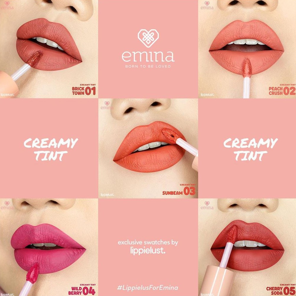 EMINA CREAMY TINT 3.6GR