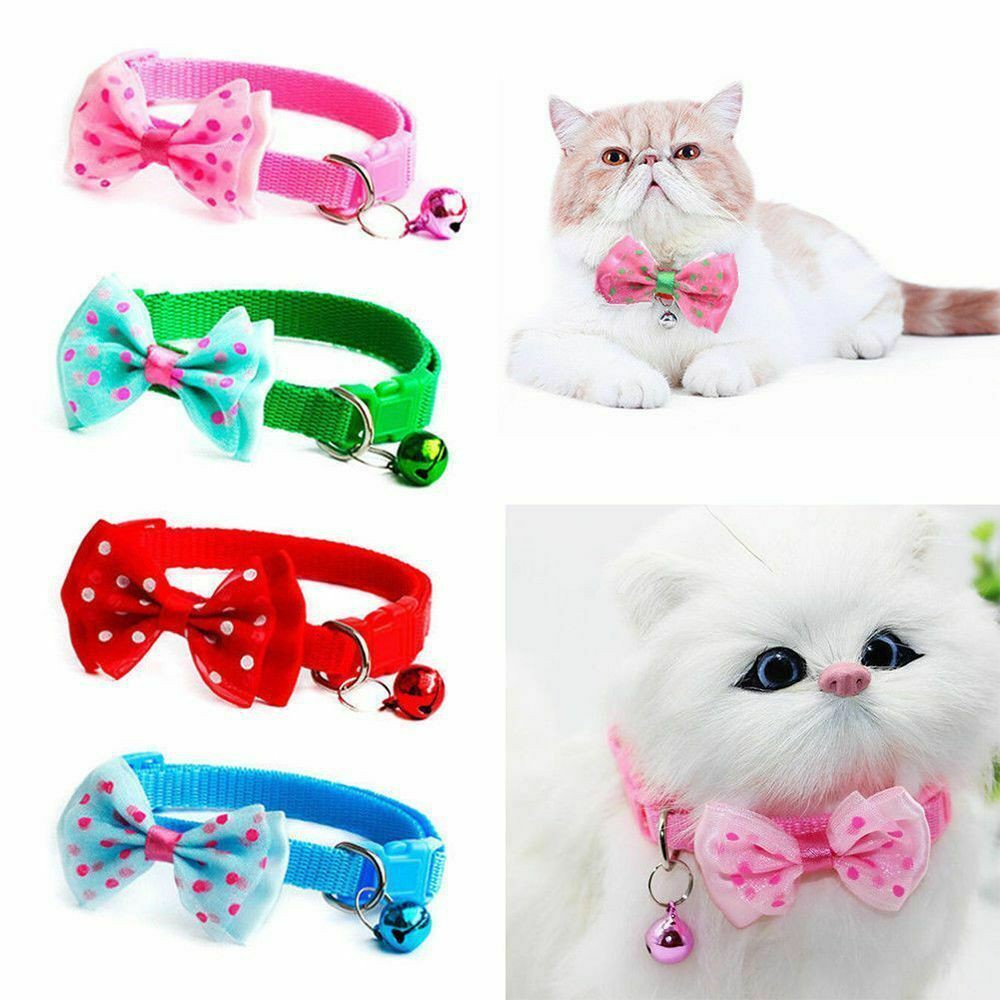 Kalung Pita Kucing / Anjing Import