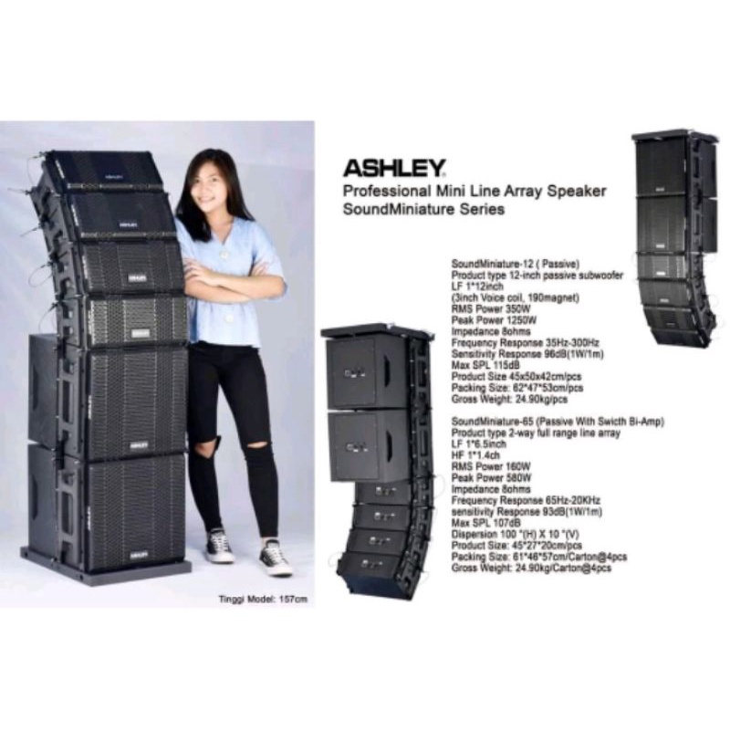 Speaker Line Array Ashley Mini Soundminiature Series array 6.5 inch Sub 12 inch Passive