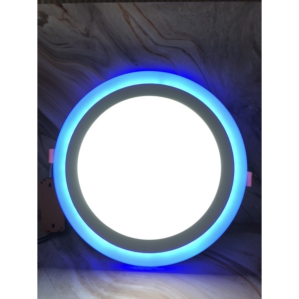 LED PANEL 2 Warna
