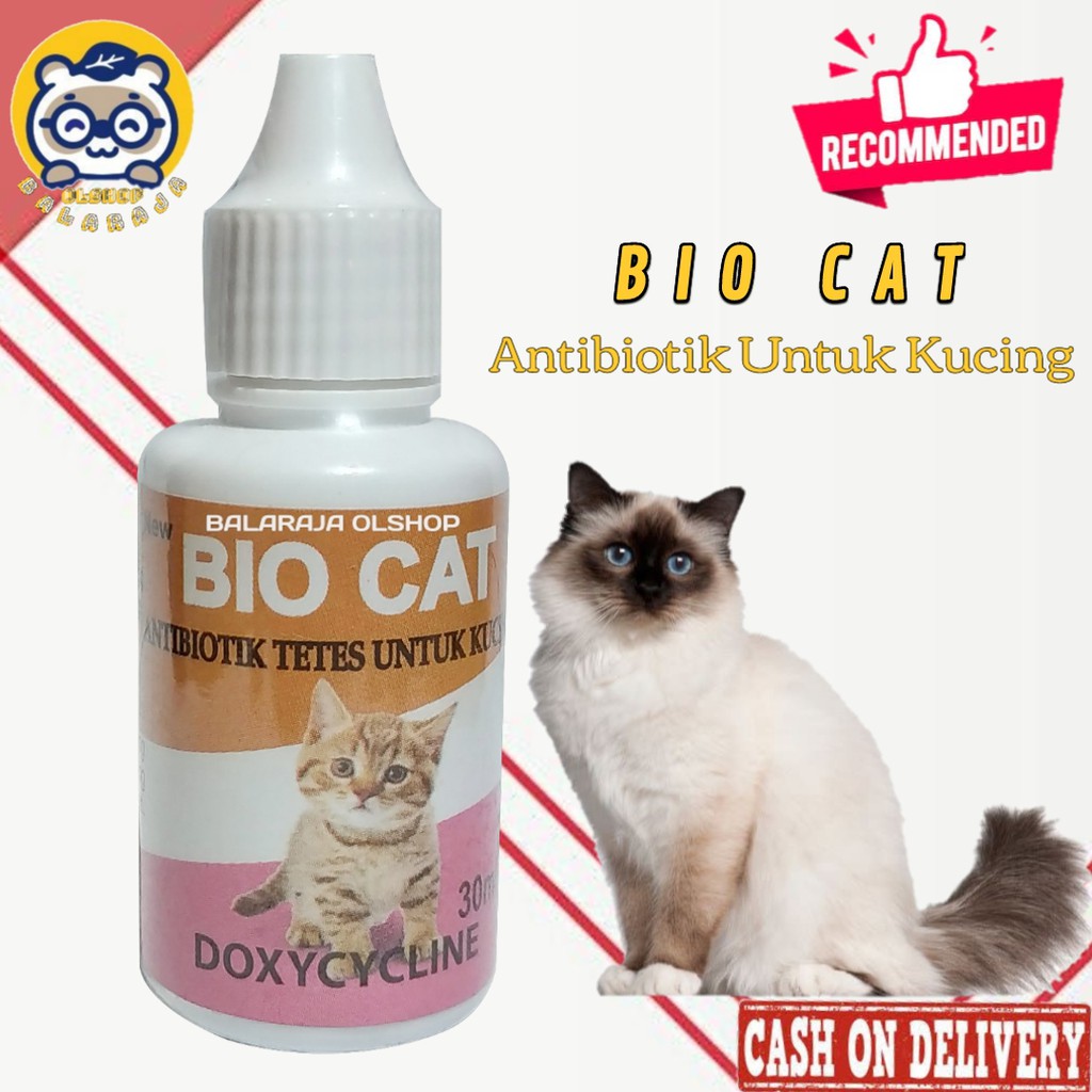 ANTIBIOTIK KUCING OBAT DIARE GANGGUAN PERNAPASAN FLU PILEK DEMAM KUCING KITTEN - BIO CAT