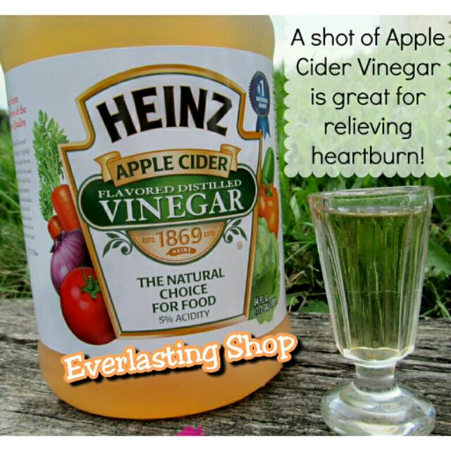 

Heinz Apple Cider Vinegar 32oz Cuka Apel From USA 896ml