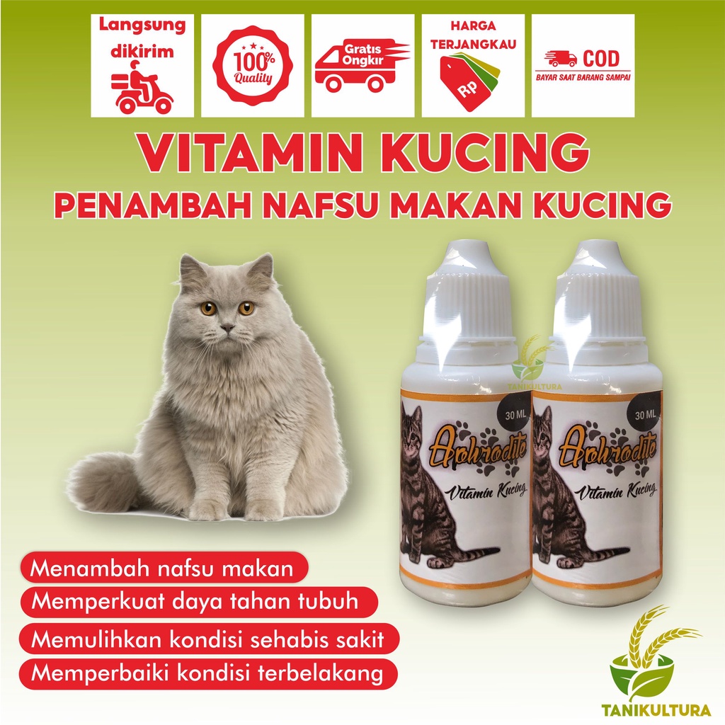 vitamin kucing gemuk dan bulu lebat anti rontok suplemen nafsu makan kucing dewasa anabul kitten amp