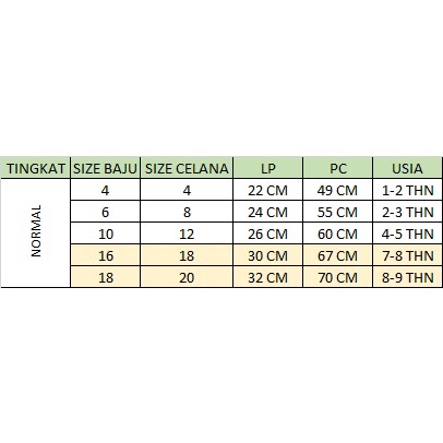 SETELAN ANAK LAKI KEMEJA JEANS KERAH DAN CELANA PANJANG RIPPED BENDERA 1-9 TAHUN- ST01-4