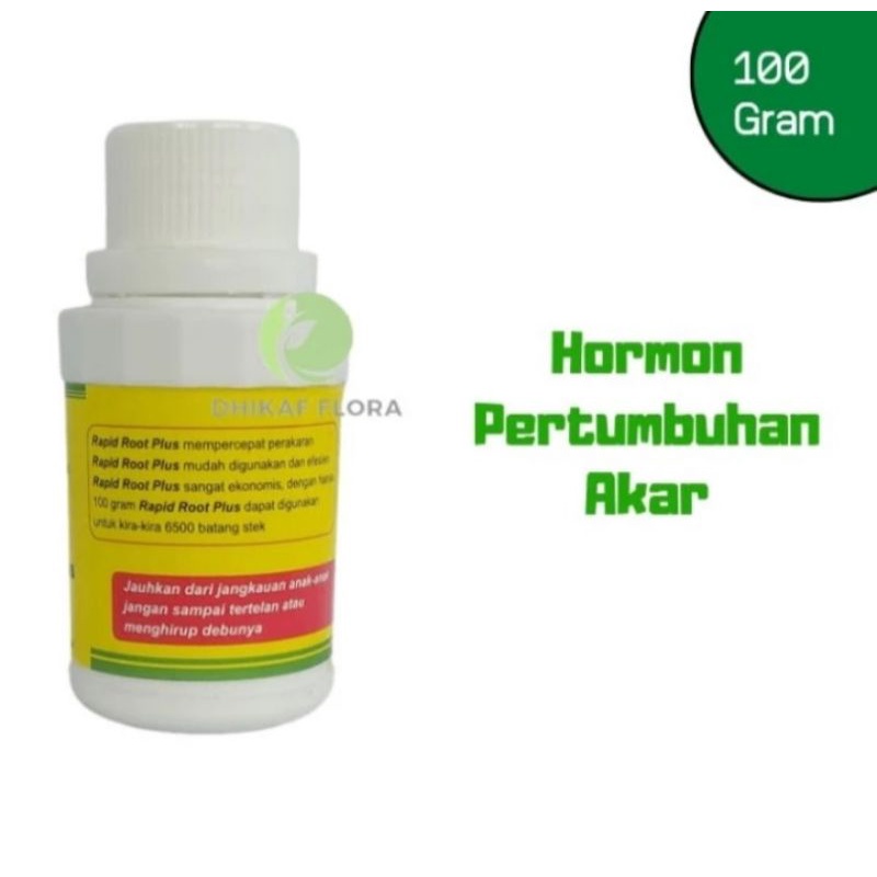 RAPID ROOT HORMON PERTUMBUHAN AKAR
