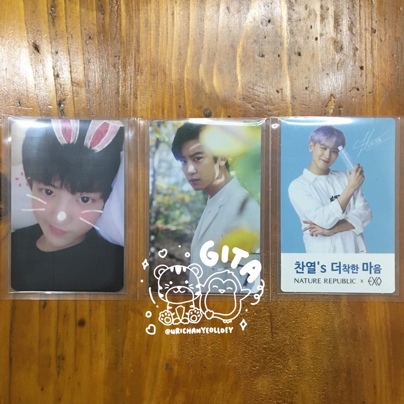 EXO Chanyeol Elyxion Luggage Tag, What a Life, Nature Republic Toner Photocard / PC