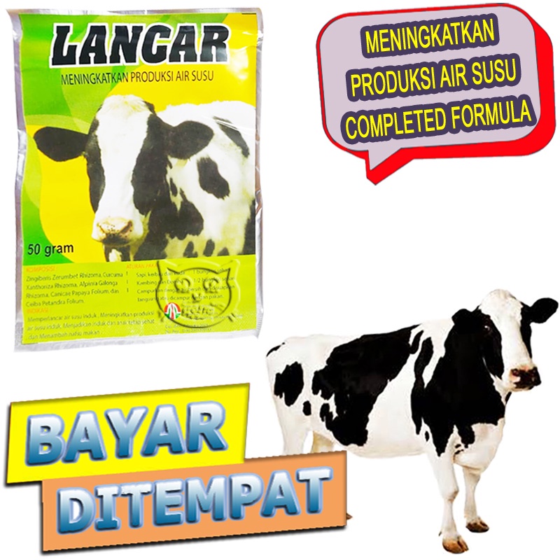 Lancar Asi Vitamin Pelancar Air Susu Sapi Kambing Perah