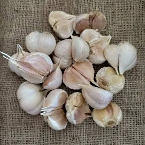 

Bawang Putih Kating - - 500 Gram