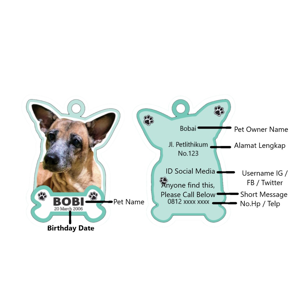 Pet Name Tag Anjing / Kalung Anjing /Tali Anjing/ Dog Collar/ Kalung Anjing Custom / Name Tag Custom