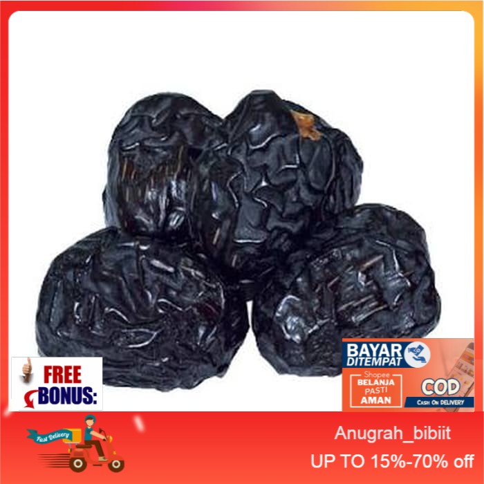 Bibit Tanaman Buah Kurma Nabi Ajwa (Ajua)