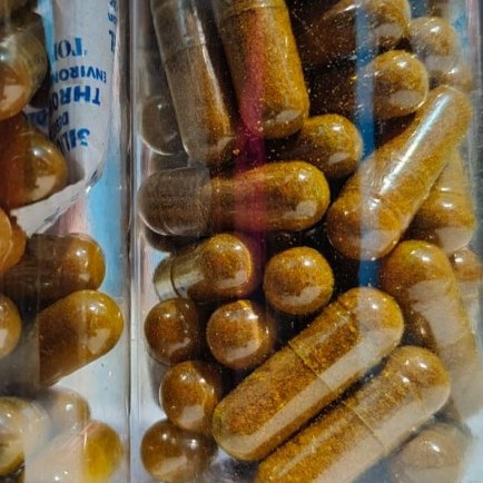 

Kapsul Kunyit Kuning Lempuyang 50pcs Kemasan Cantik