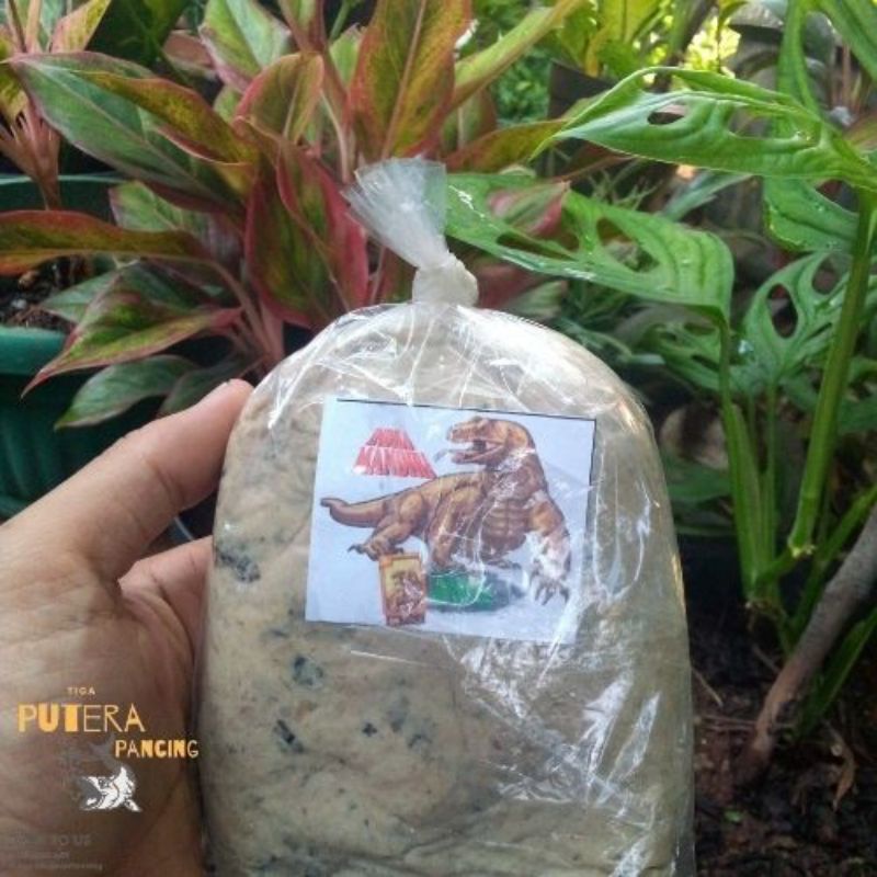 Sasak biawak umpan Galatama Lele