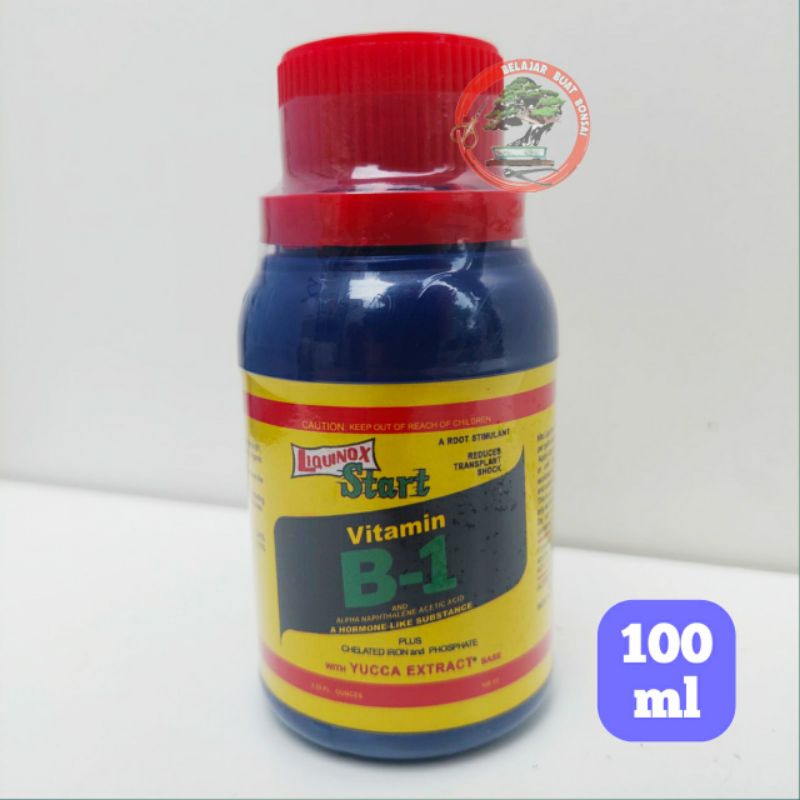 Vitamin B1 USA Original 100ml