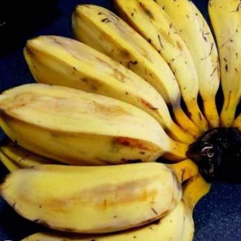 

pisang kepok segar / sisir dijual di warunk juni