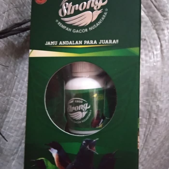 vitamin penggacor untuk lomba ebod strong