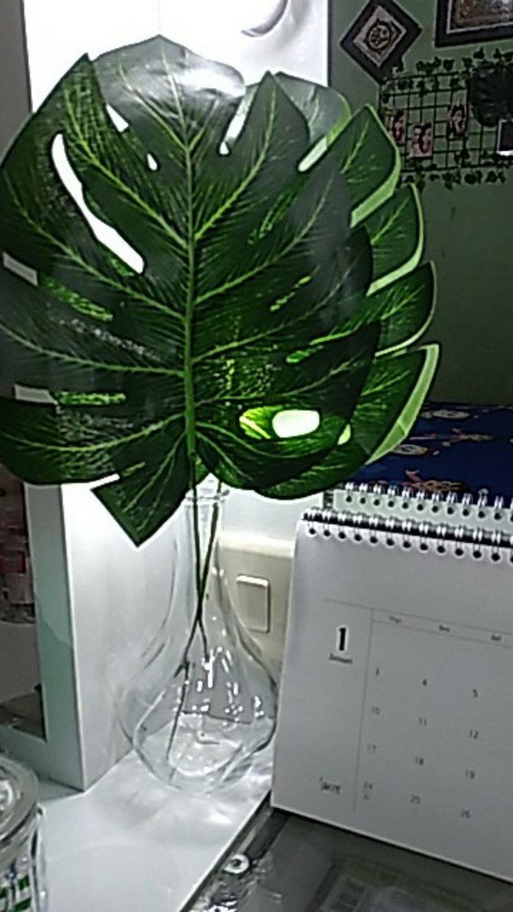 Daun Monstera Set Vas Kaca