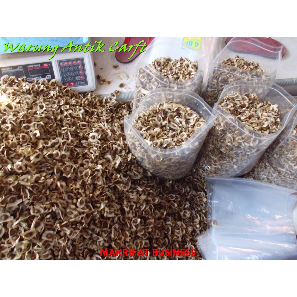 

Biji kelor kering WARUNG ANTIK MART