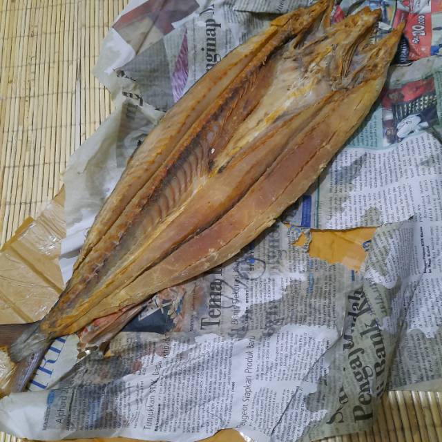 

Iwak karing tenggiri