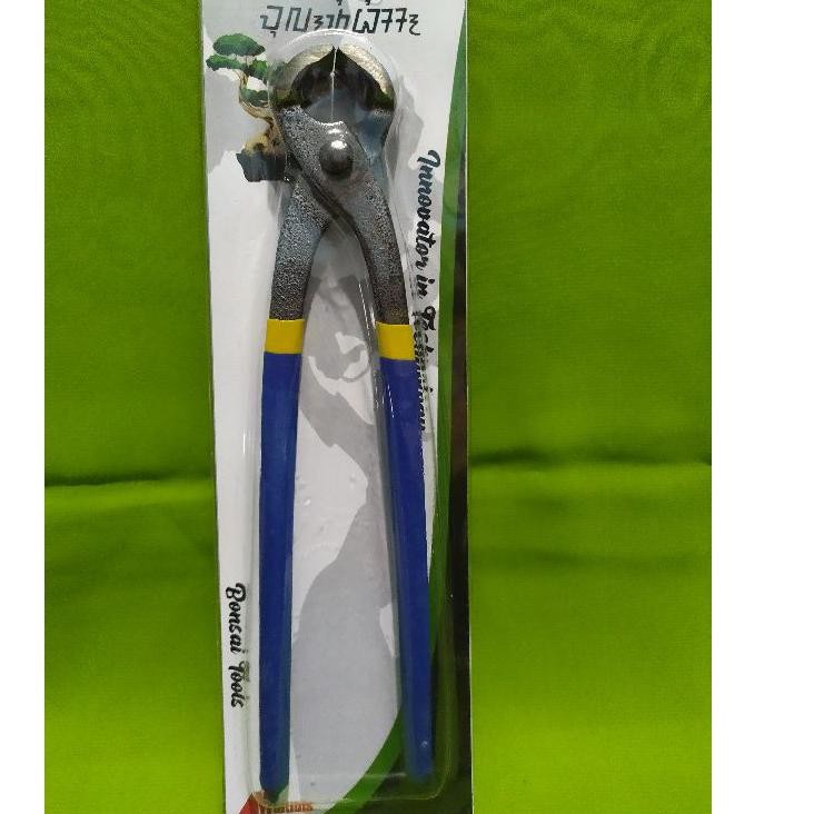 cvf<<<753   catok bonsai catut bonsai gegep kakak tua