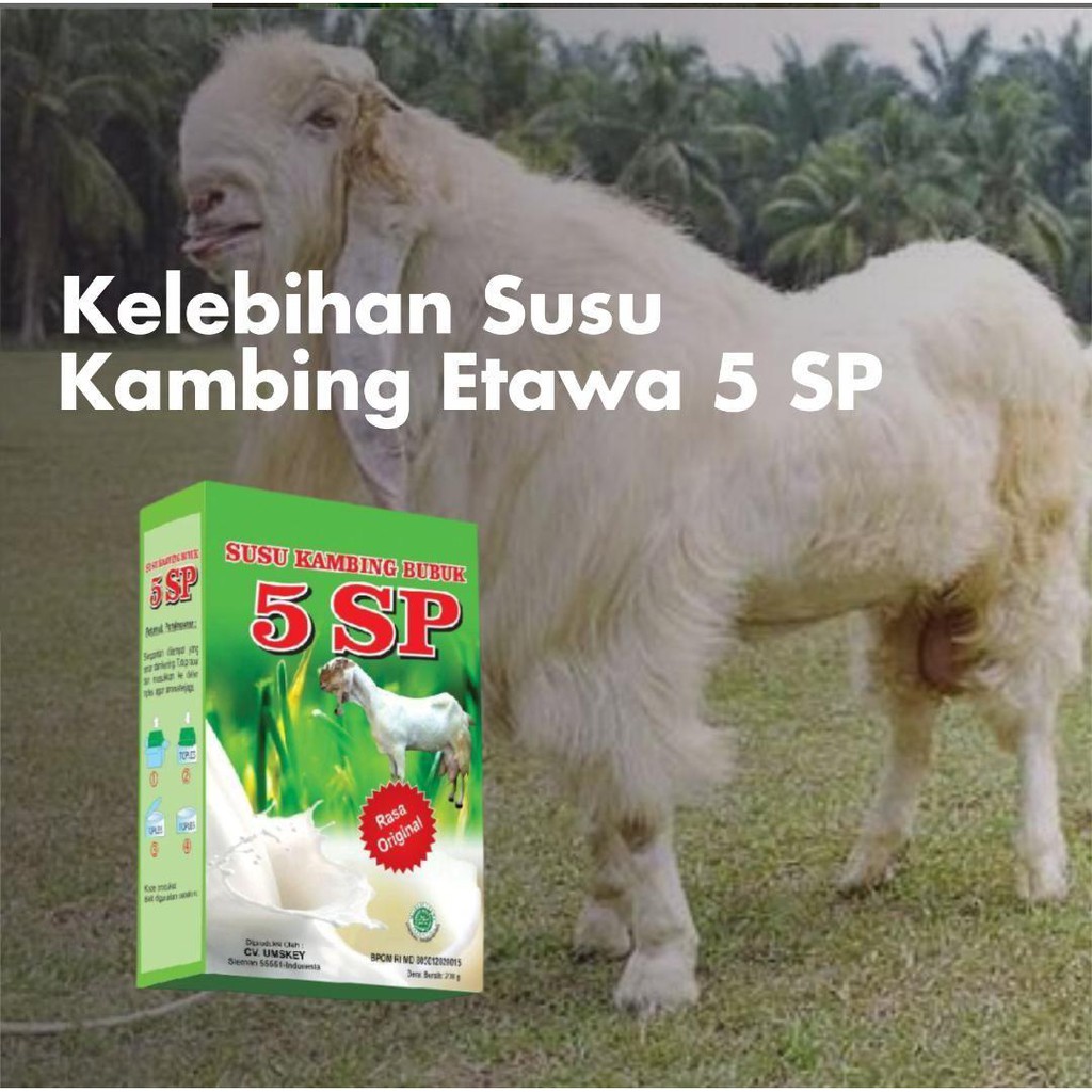 SUSU KAMBING ETAWA 5SP Sudah BPOM Obati TBC Asma Alergi Kaya Kalsium Nutrisi Alami Sehat