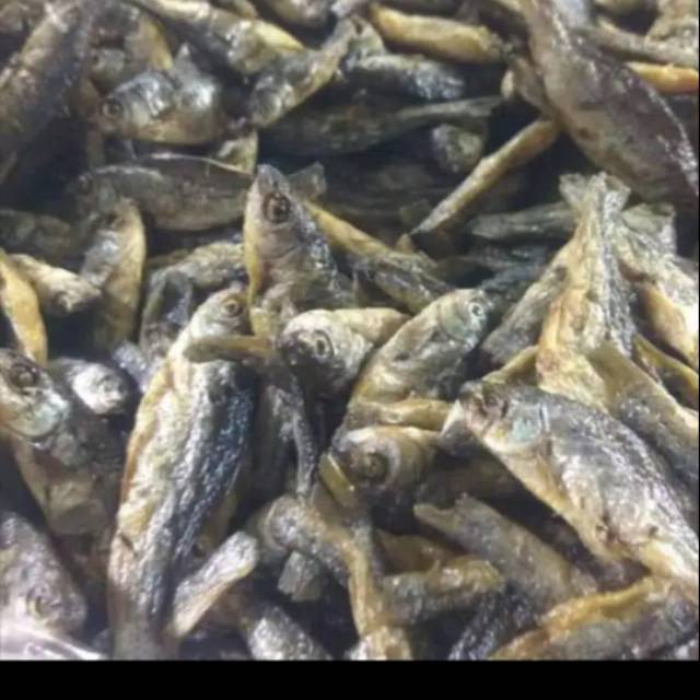 

WAJIB COBA IKAN BILIH 1/2 KG( 500 GRAM)