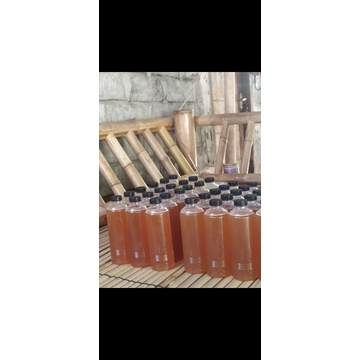 

Madu trigona