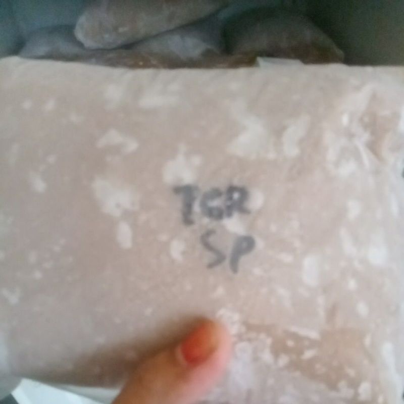 

tenggiri super