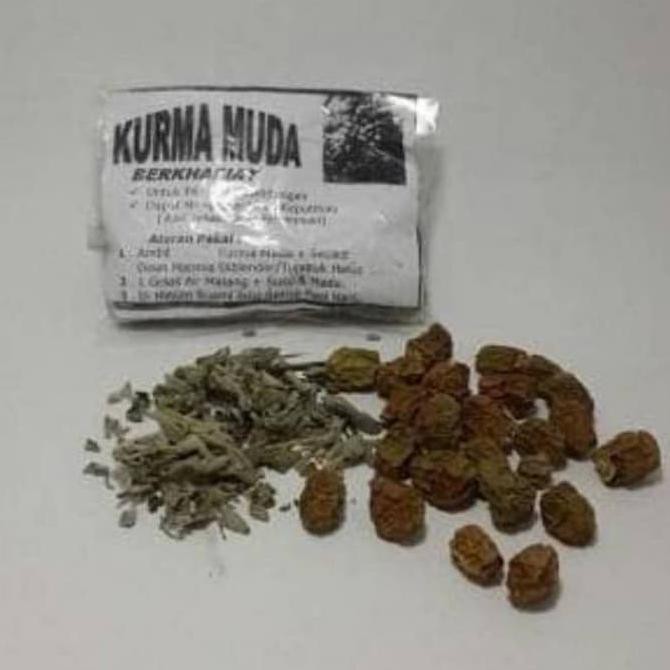 

Ready Stock Kurma Muda Kering Plus Daun Marmia