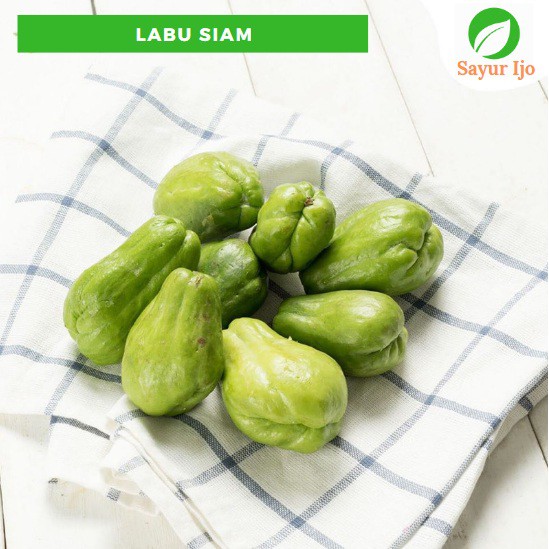 

Labu Siam Acar Kecil 950 - 1000 Gram Fresh Jipang Chayote Sayur Hijau Segar