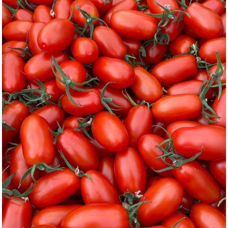 

RED TOMATO CHERRY FRESH / TOMAT CHERRY MERAH SEGAR