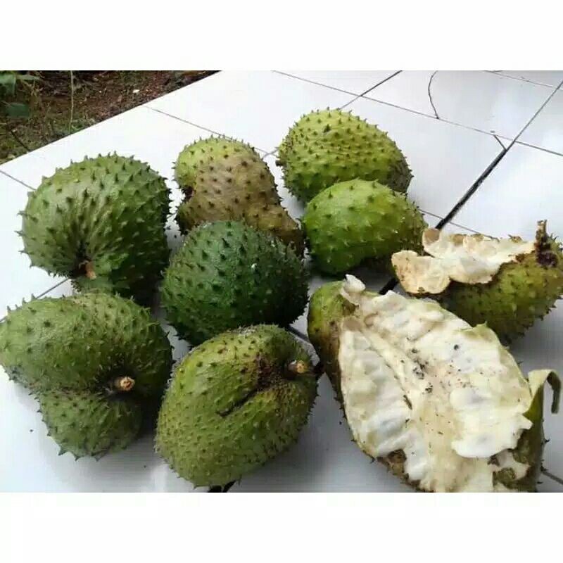 1kg buah sirsak/sirsat sdh matang