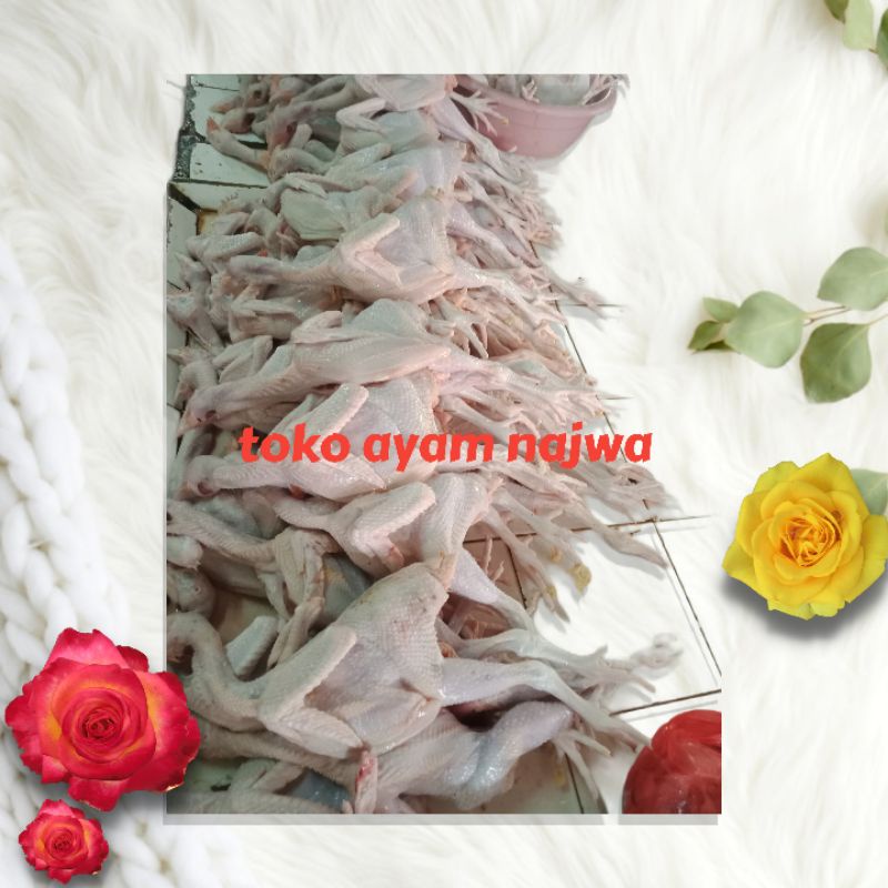 

Ayam pejantan 900g+atiampela