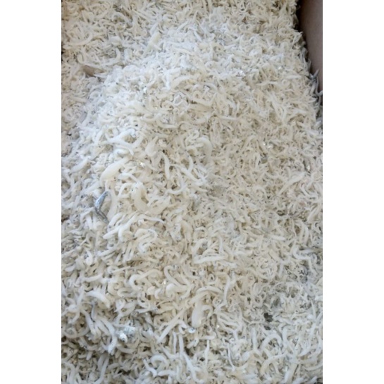 

Teri Medan Super 500gr
