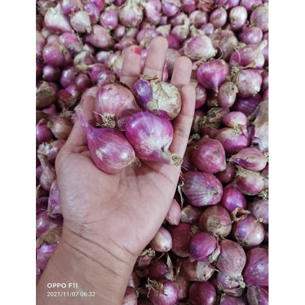 

Bawang merah super