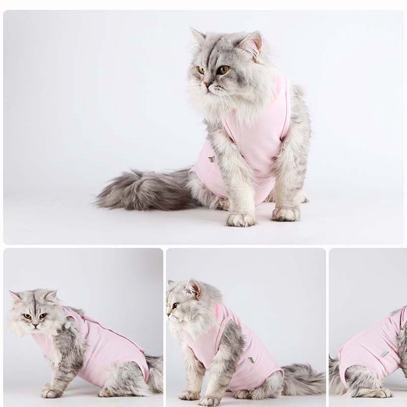 ★〓YUFeiPet〓★ Elizabeth Series Kitty Weaning Sterilization After Surgery of Cat Clothes