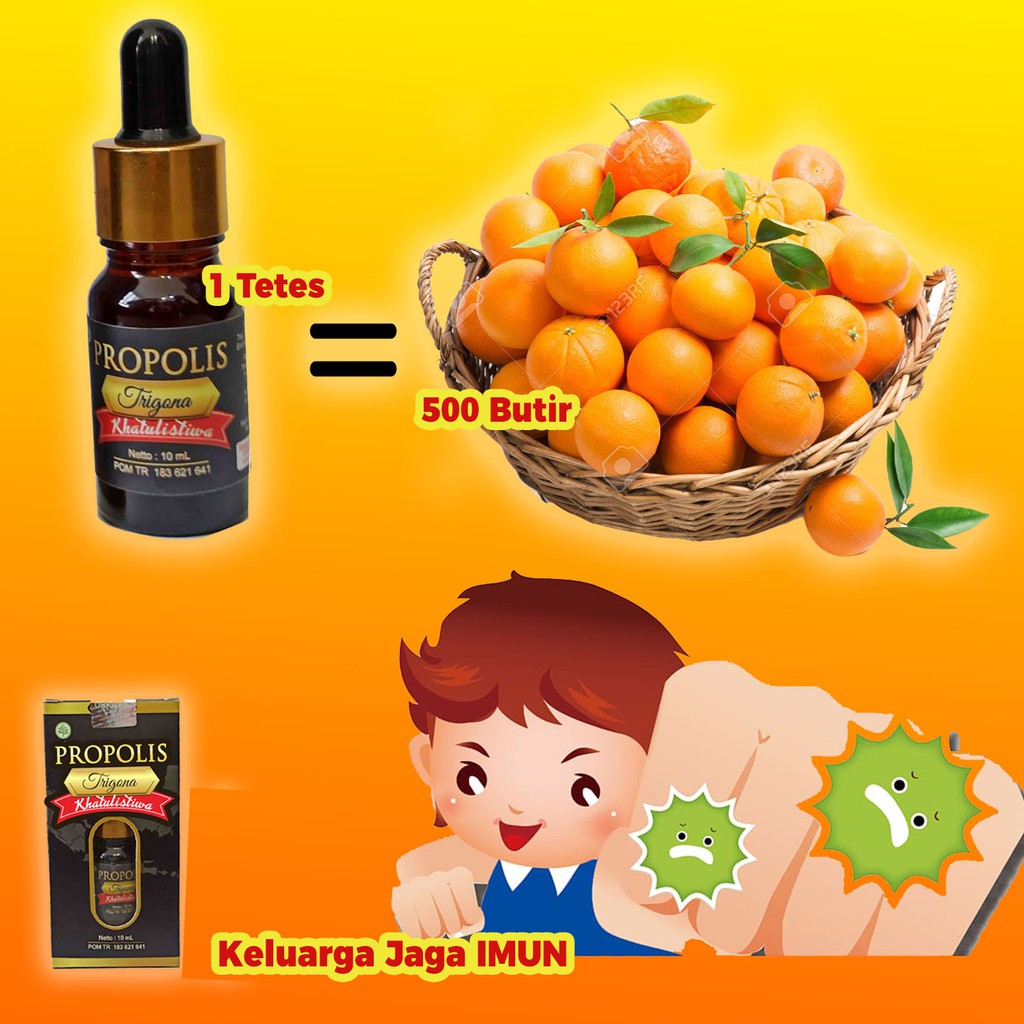 ✅ ASLI MURNI ✅ Propolis Trigona Khatulistiwa dari Lebah Terbaik Garis Khatulistiwa