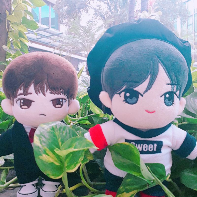 Doll Svt WonHao Preloved