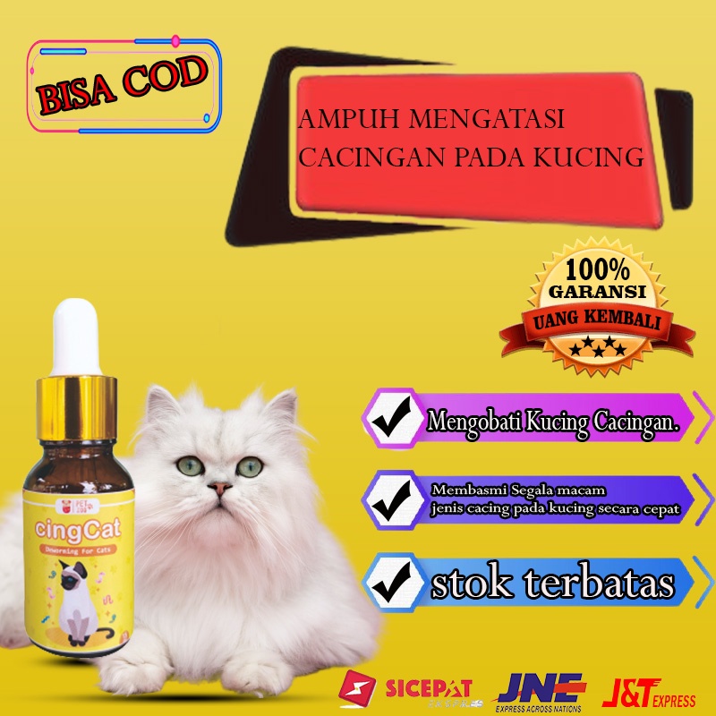 obat perawatan cacing kucing kitten original
