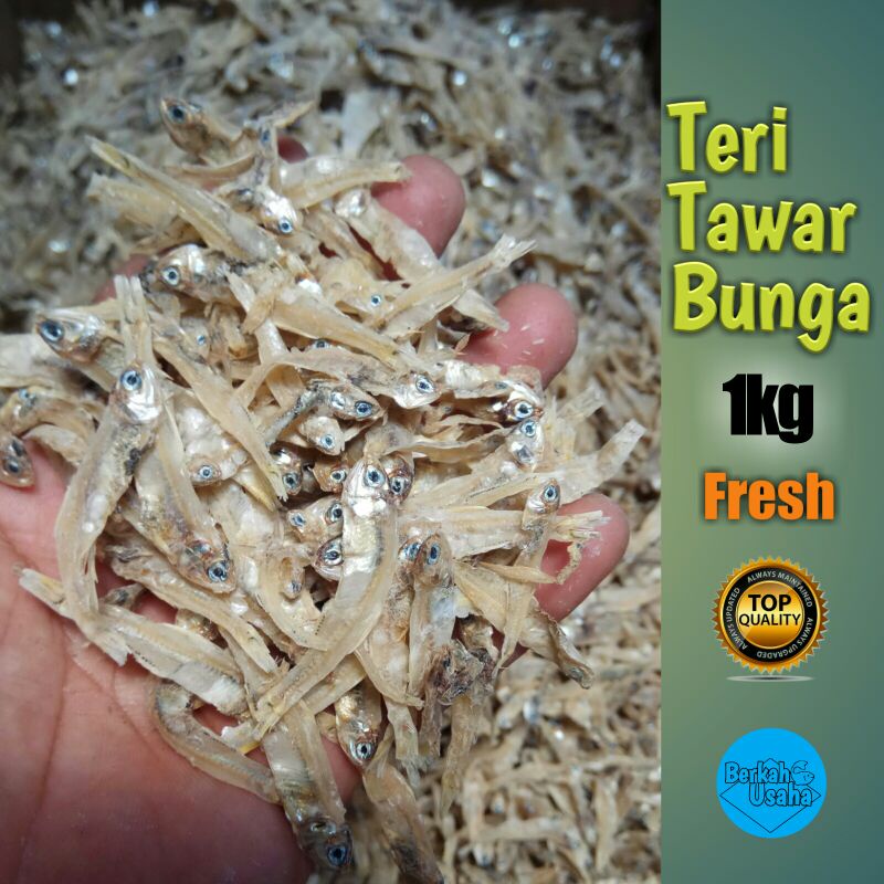 

IKAN ASIN TERI TAWAR BUNGA KERING FRESH 1kg Murah grosir