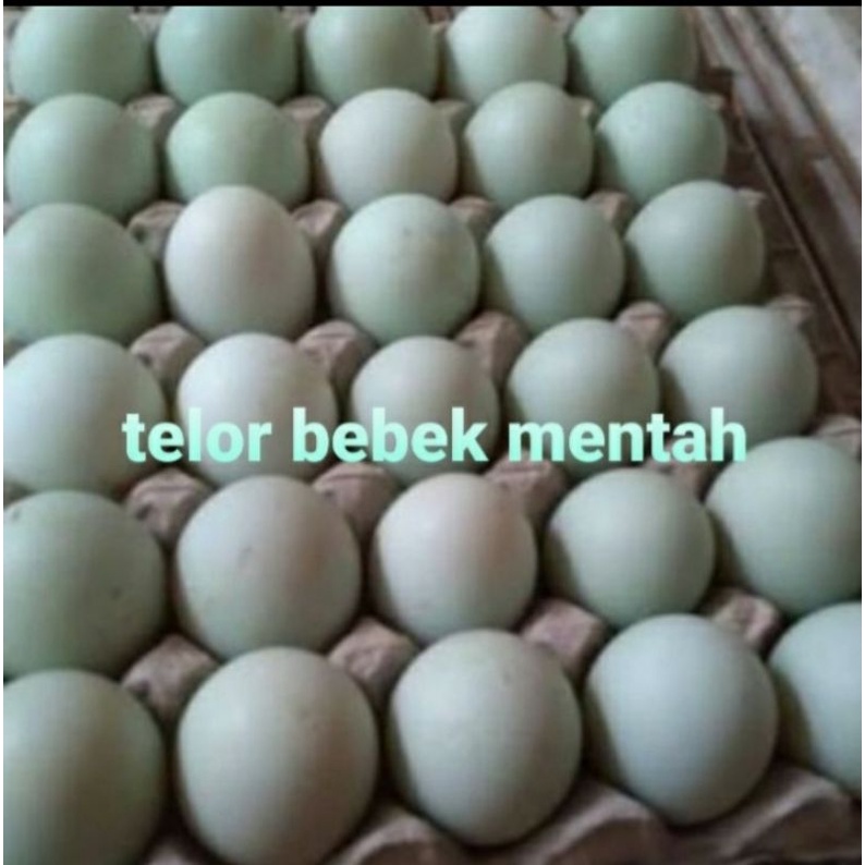 

telor bebek mentah 1 biji