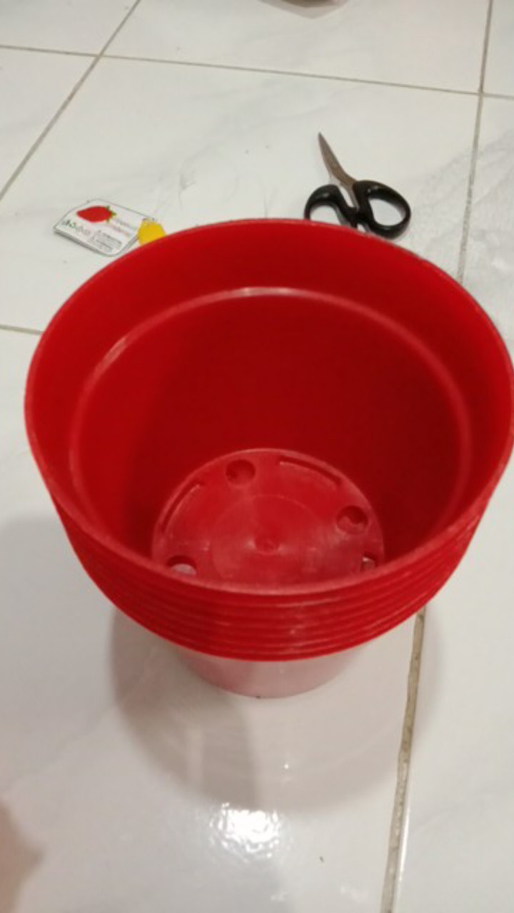 Pot Warna Warni Ukuran 15 Cm /pot Lucu /pot Bunga