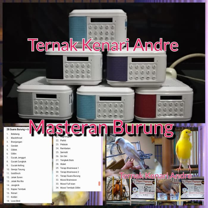 Masteran 25 Suara Burung Advance Shopee Indonesia