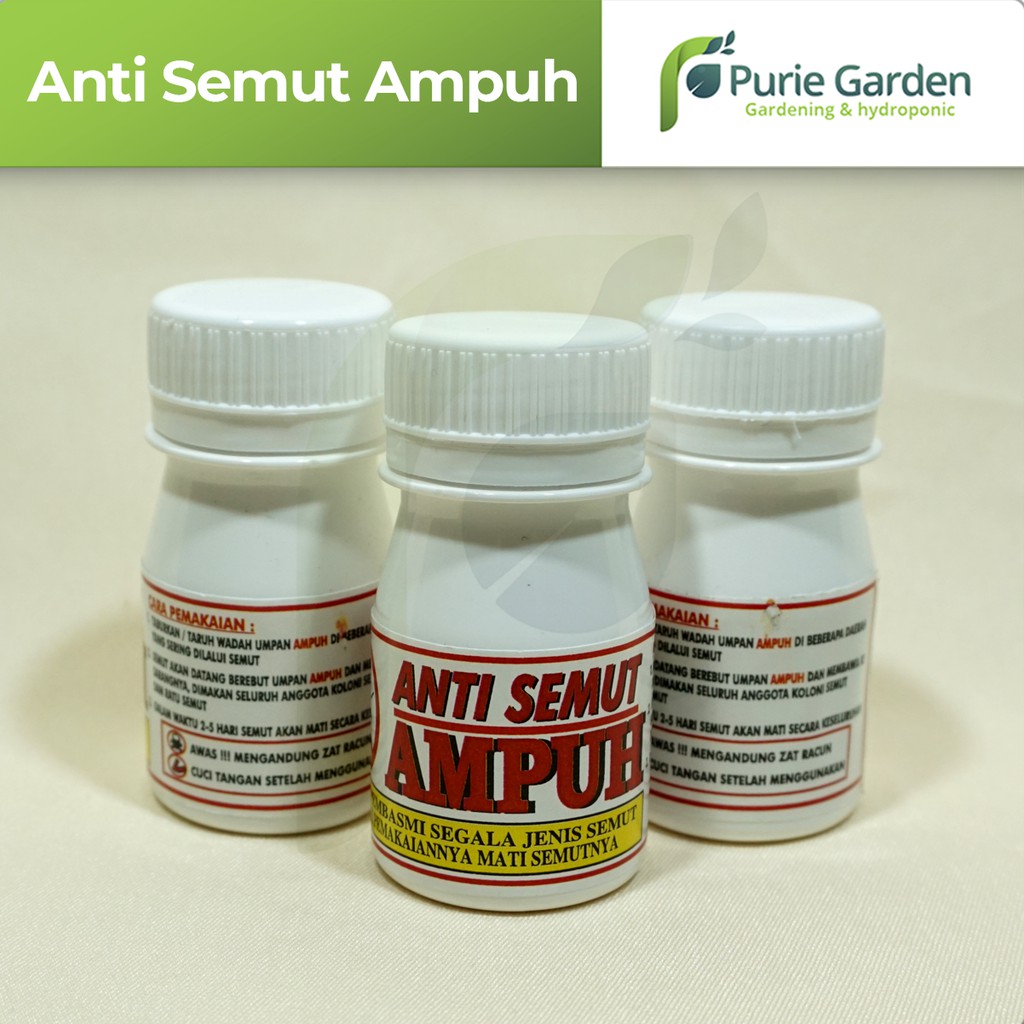 Racun/Obat Pembasmi Anti Semut Ampuh PG SBY