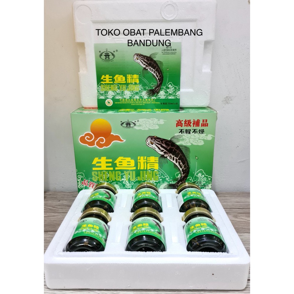 

SHENG YU JING 6 BOTOL SARI IKAN GABUS KUTUK